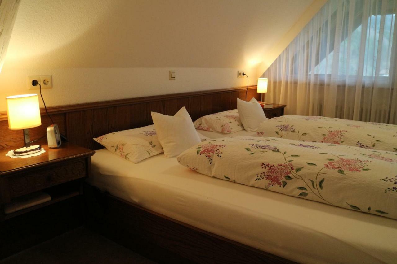グータッハHaus Schneiderアパートメント エクステリア 写真